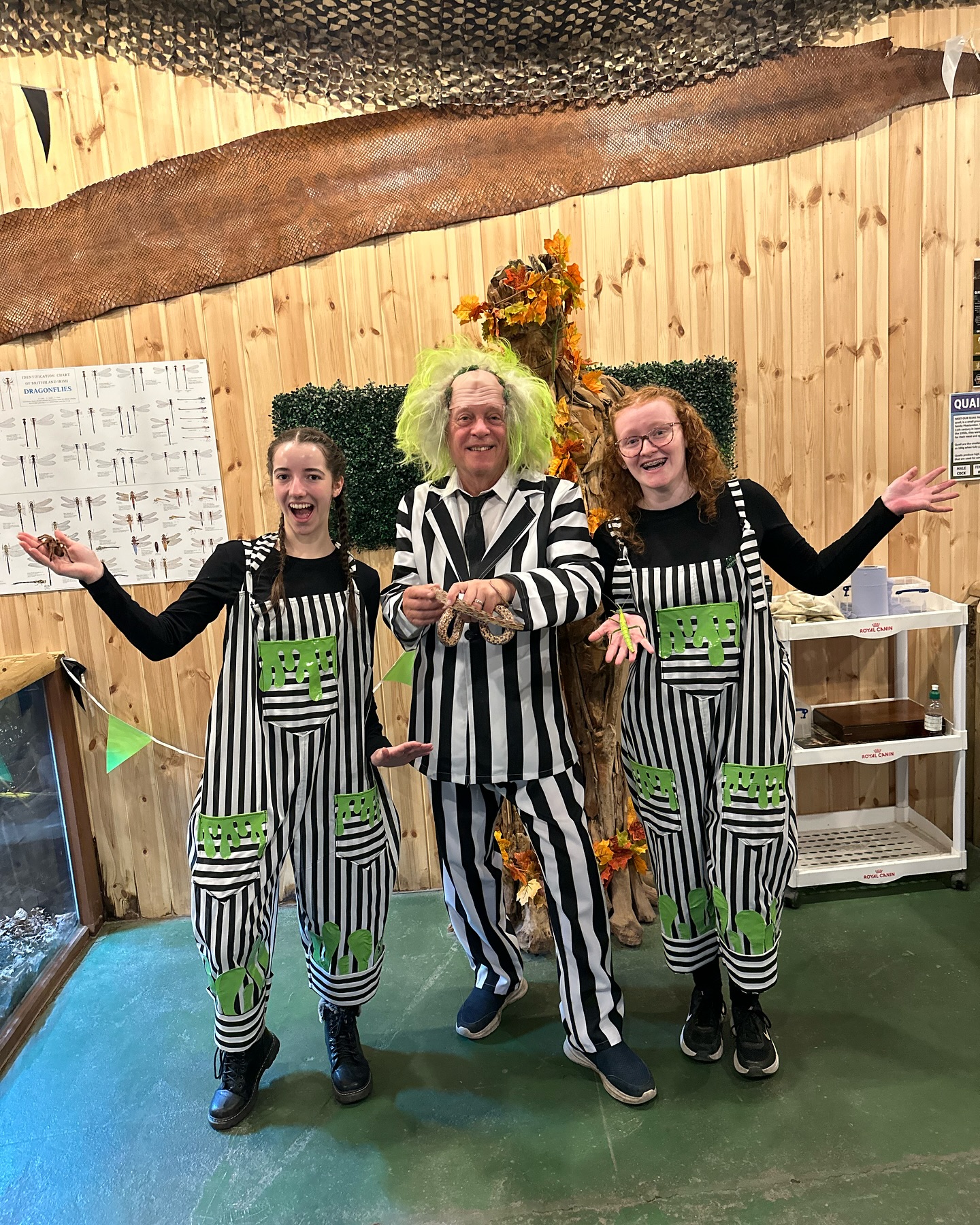 Three people stand inside the Bug Barn, smiling at the camera. The person in the middle wears a black-and-white striped suit with bright green hair and holds a snake. On either side, two young women wear matching black-and-white striped dungarees with green slime patterns, each holding insects in their hands. Behind them is a wooden wall decorated with leaves and netting, adding to the spooky, themed setting.