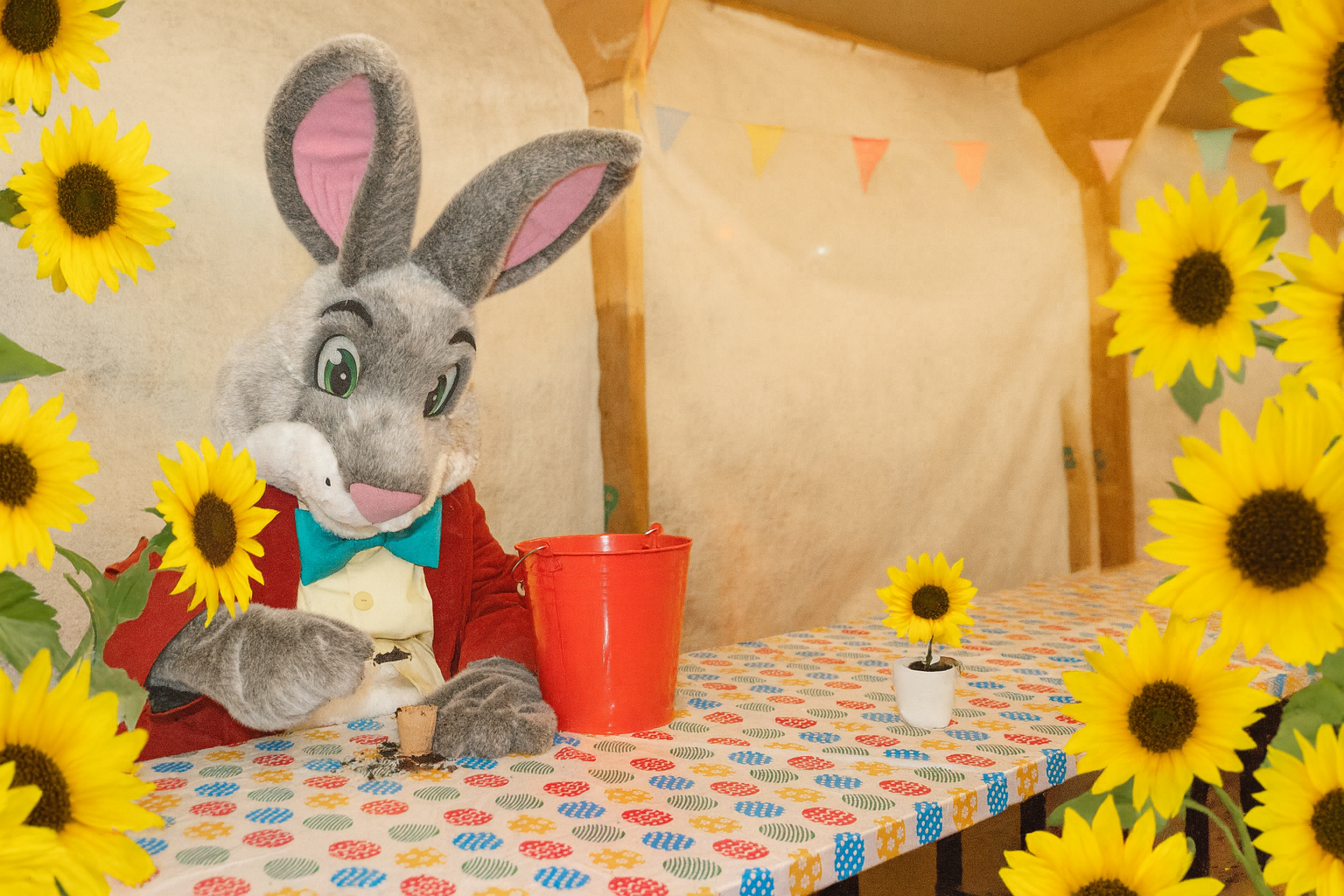 A cheerful Easter Bunny in a red jacket and teal bow tie plants seeds at a decorated table. A red bucket and small pots sit nearby, while bright sunflowers frame the scene from both sides