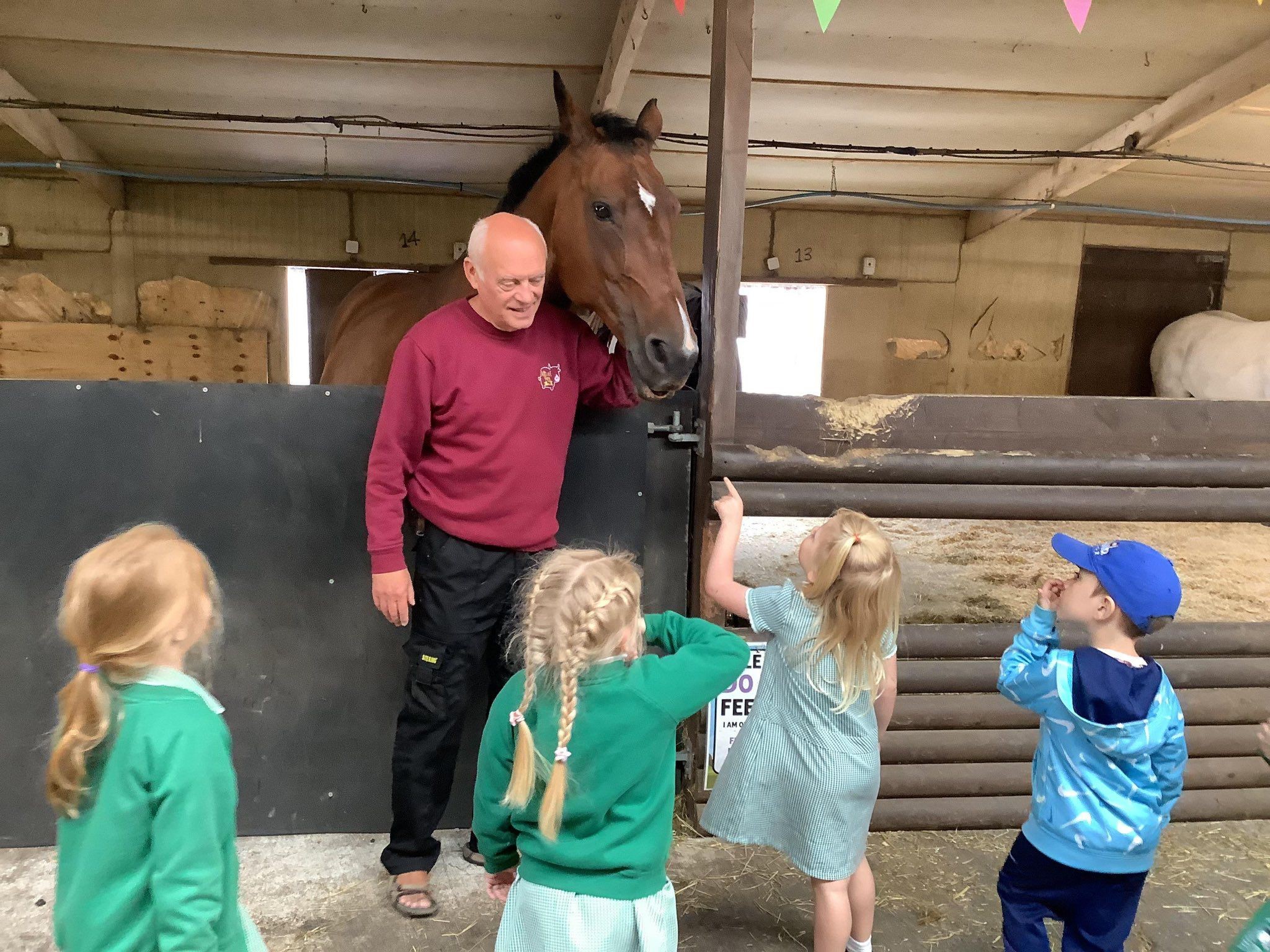 A group of young school children stand in front of a stable, looking up at a large brown horse leaning over the gate. An older man in a maroon jumper and black trousers gently rests his hand on the horse, talking to the children. The children, dressed in school uniforms and casual clothes, appear curious and engaged as they point and look at the horse. The stable is decorated with colourful bunting overhead.